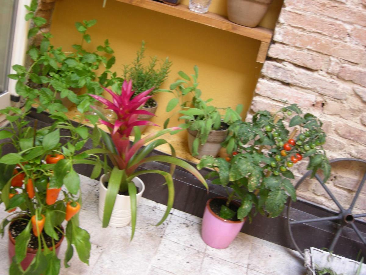 Terrazza Petroni Apartamento Bolonha Exterior foto